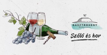Gasztrohegy • Szőlő és bor